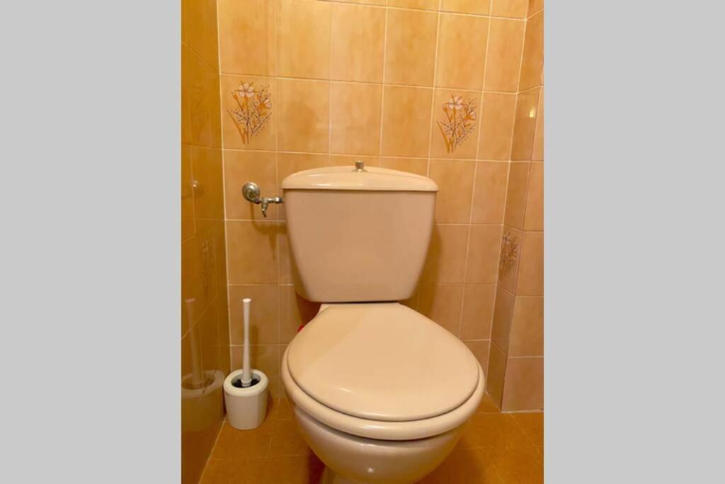Spacieux T3 Au Centre Ville D'Ajaccio Аяччо Екстер'єр фото